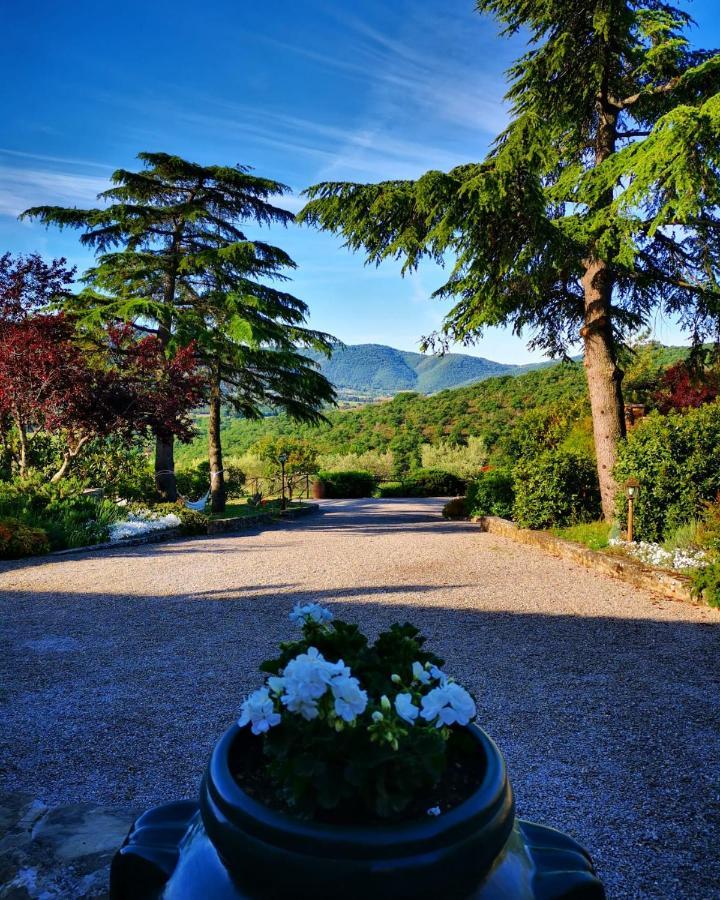 Готель Borgo Solamore Кортона Екстер'єр фото