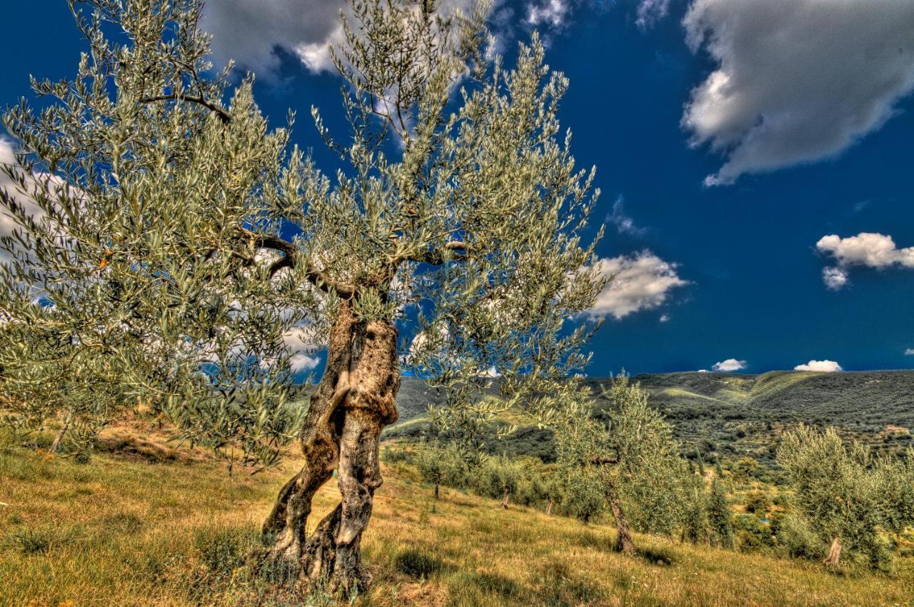 Готель Borgo Solamore Кортона Екстер'єр фото