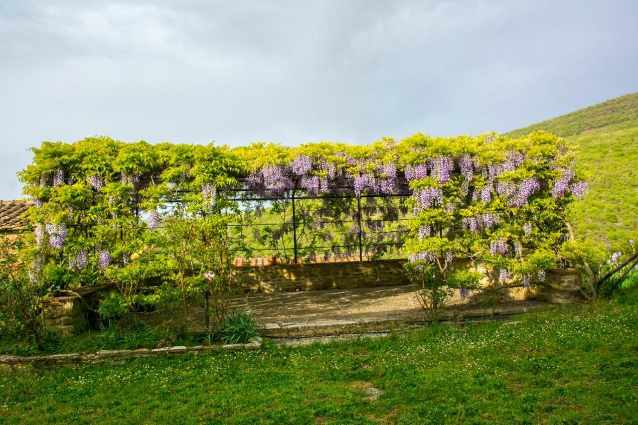Готель Borgo Solamore Кортона Екстер'єр фото